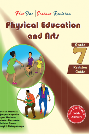 PlusOne | Serious Revision Physical Education and Arts Grade 7 Revision Guide