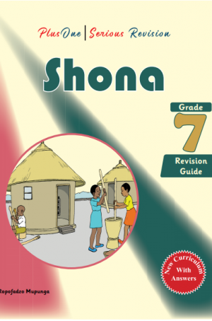 PlusOne | Serious Revision Shona Grade 7 Revision Guide
