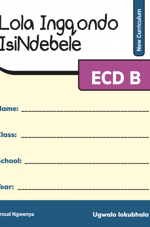 Lola Ingqondo  ECDB (Isindebele) Workbook (New Curriculum)