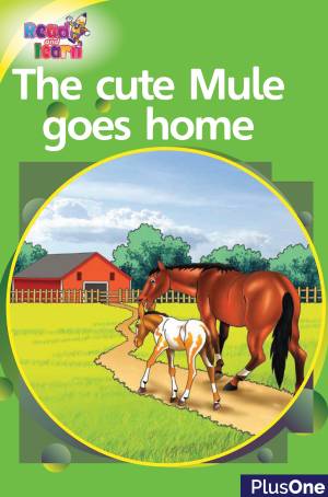 The Cute Mule goes Home
