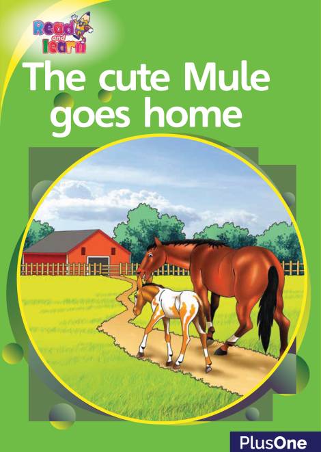 The Cute Mule goes Home