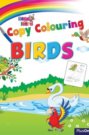 Copy coloring - birds